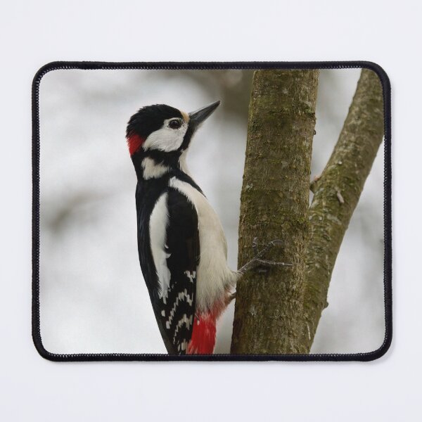 Item preview, Too thin for the home. Great spotted woodpecker designed and sold by Jouko Lehto Photography.