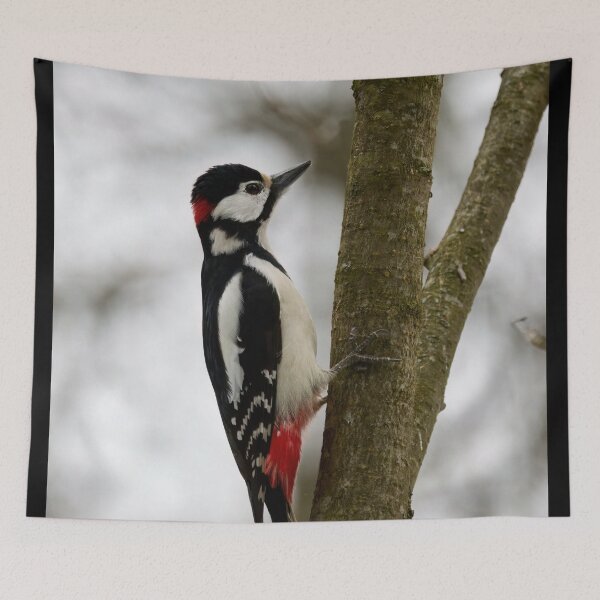 Item preview, Too thin for the home. Great spotted woodpecker designed and sold by Jouko Lehto Photography.