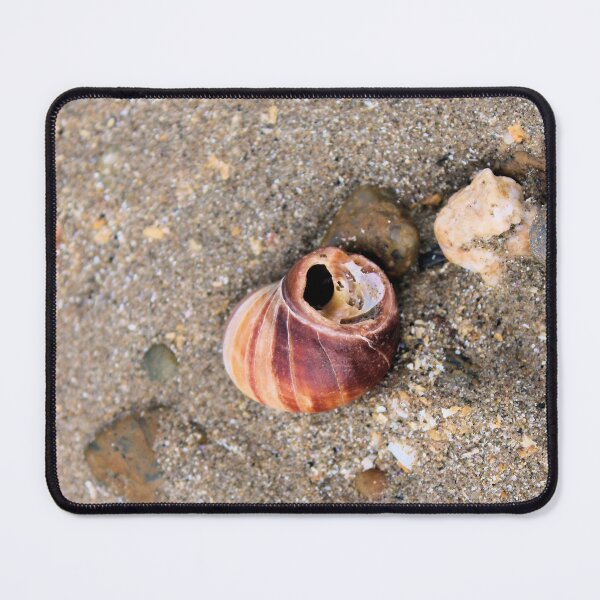 Item preview, shell designed and sold by KathleenDawson.