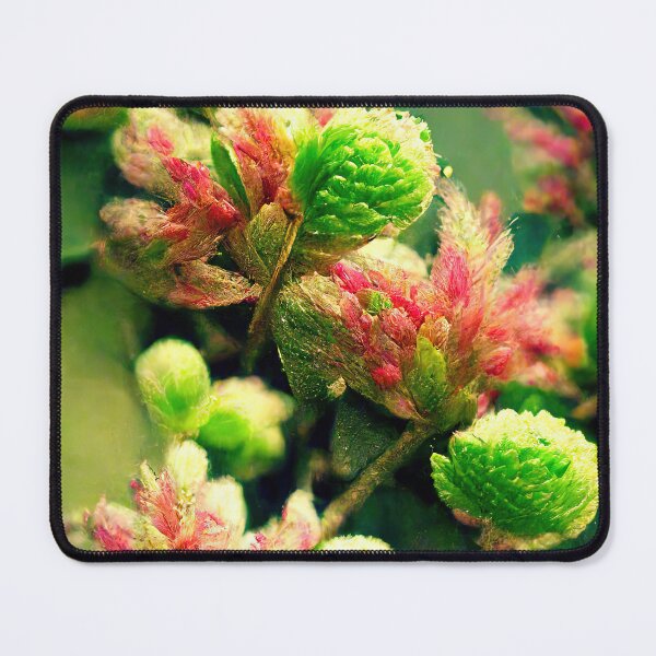 Item preview, Realistic HQ Flower designed and sold by Artifact-Design.