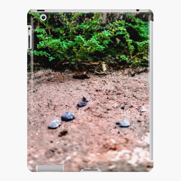 Nature seed iPad Snap Case