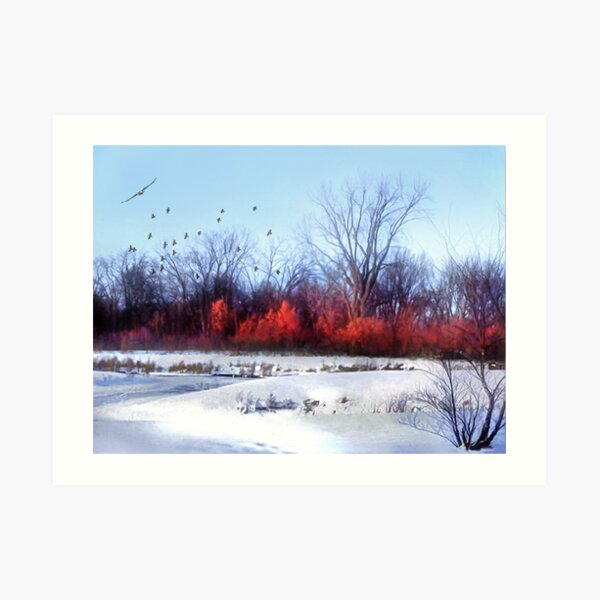Winter on the Flyway Art Print