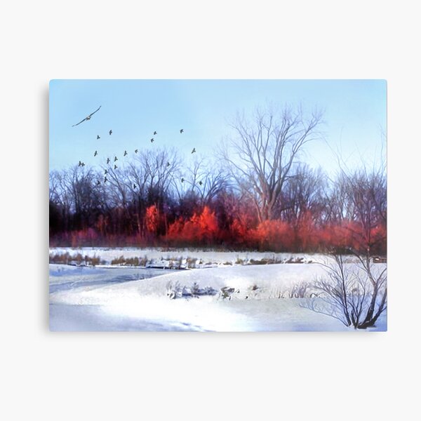 Winter on the Flyway Metal Print