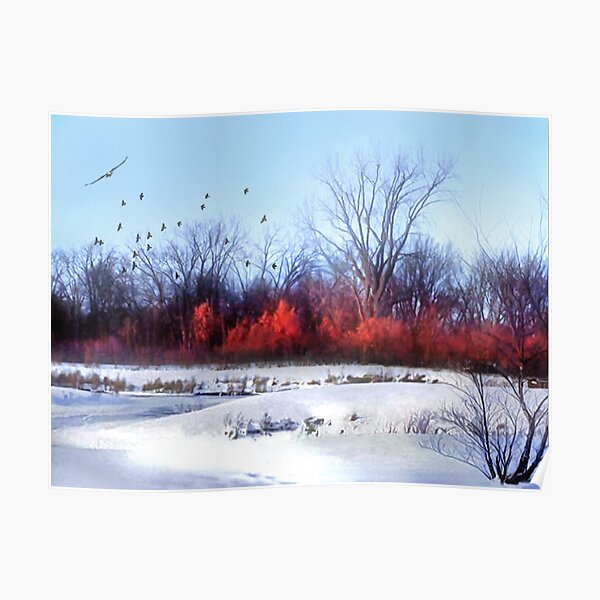 Winter on the Flyway Poster