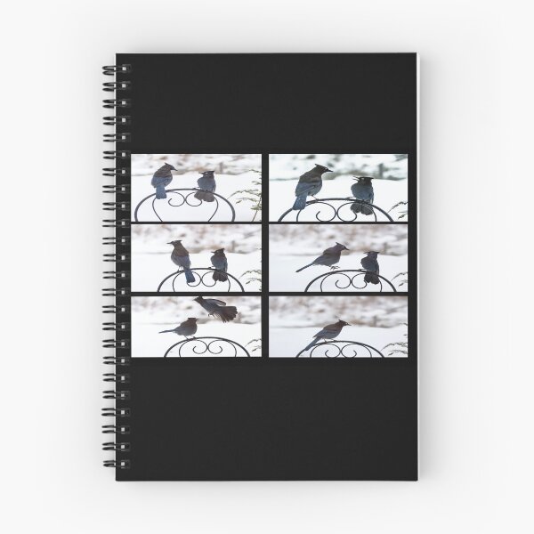 Item preview, Scenes from a Bird Quarrel  designed and sold by Ollivrosa.