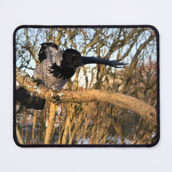 Item preview, Hello Here I Am, Says Hooded Crow And Waves designed and sold by Taina Sohlman.