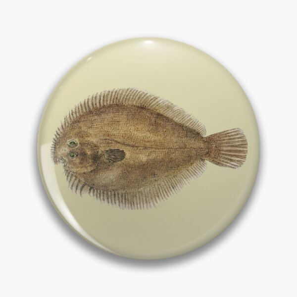 Artikelvorschau, Antiker Fisch, möglicherweise Ammotretis SP Flunder, Vintage Fisch entworfen und verkauft von AmethystMurad.