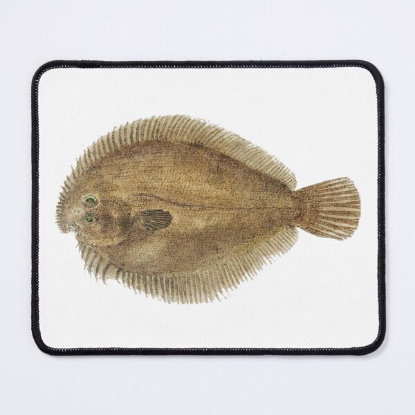 Item preview, Antique Fish Possibly Ammotretis SP Flounder Vintage Fish designed and sold by AmethystMurad.
