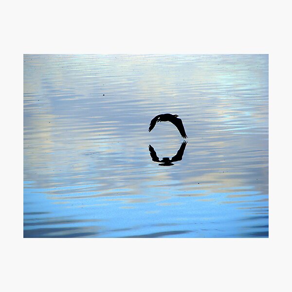 Untitled Photographic Print