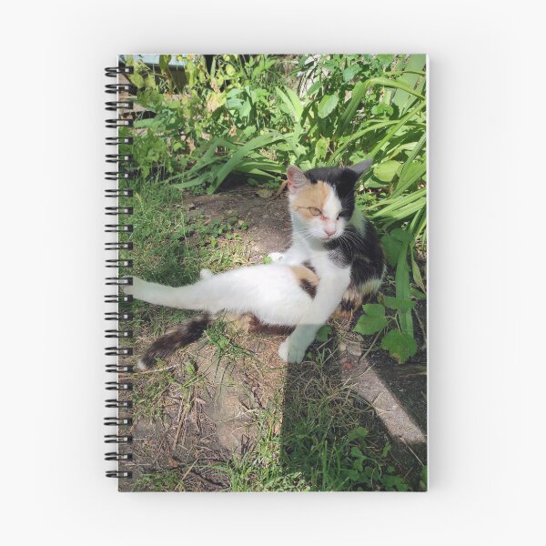Item preview, Cat Lagertha designed and sold by Gourmetkater.