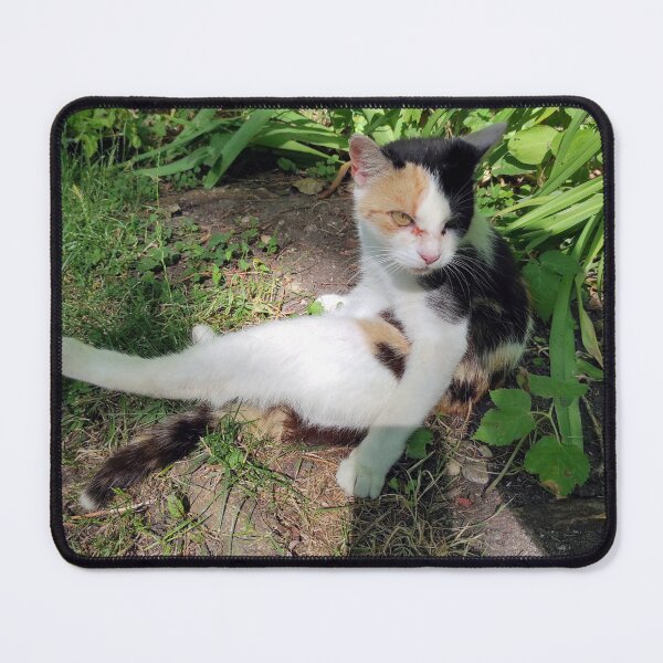 Item preview, Cat Lagertha designed and sold by Gourmetkater.