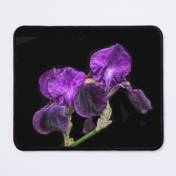 Item preview, Purple Bearded Irises  designed and sold by Alisonchambers2.
