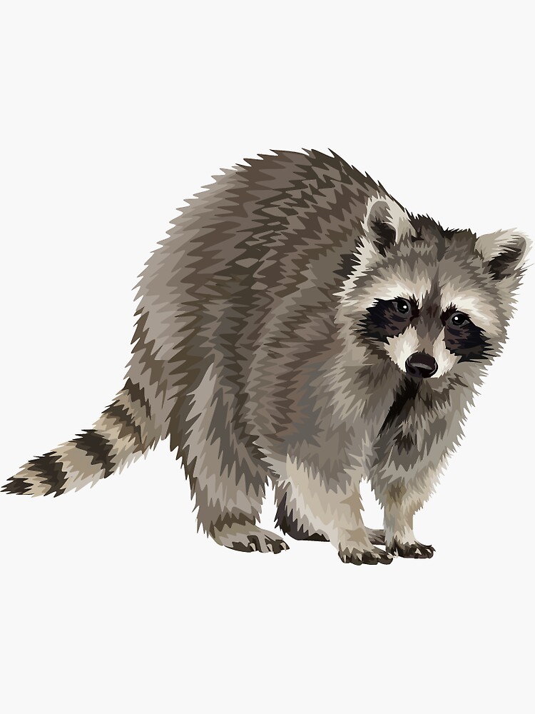 Raccoon sticker | Sticker