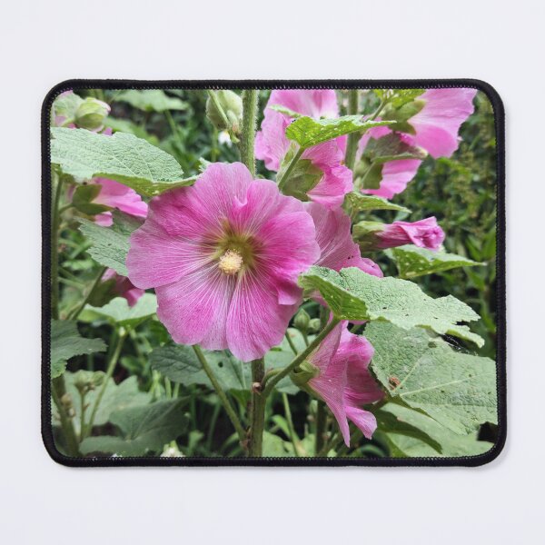 Item preview, mallow designed and sold by Gourmetkater.