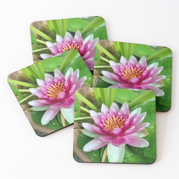 Item preview, water lily designed and sold by Gourmetkater.