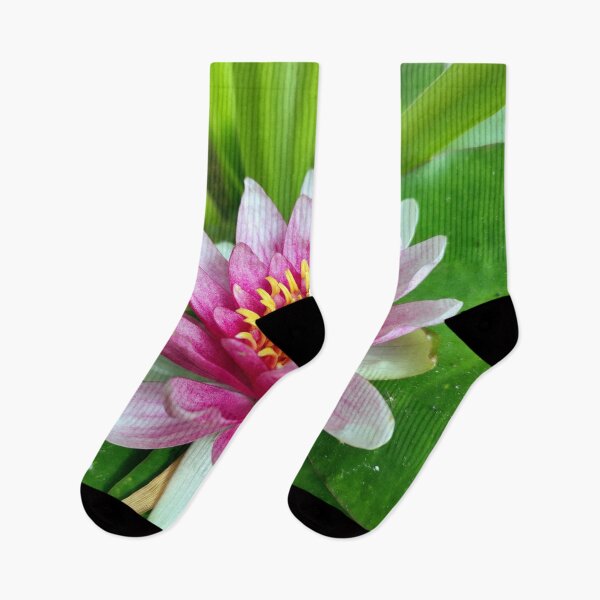 Item preview, water lily designed and sold by Gourmetkater.