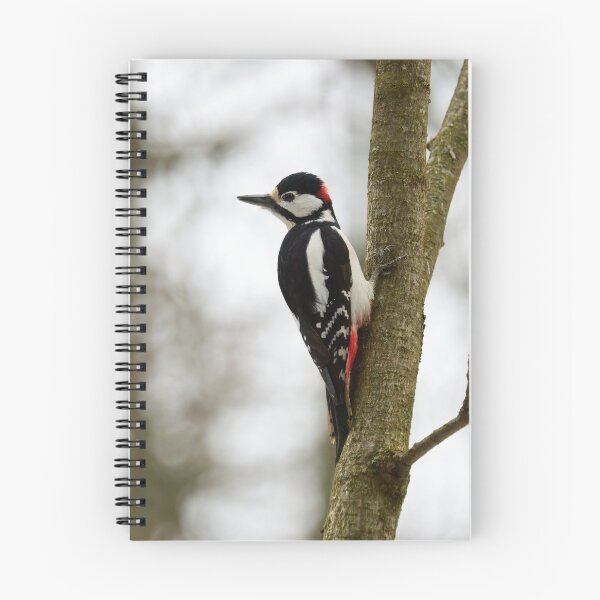 Item preview, Wish I were there.  Great spotted woodpecker designed and sold by Jouko Lehto Photography.