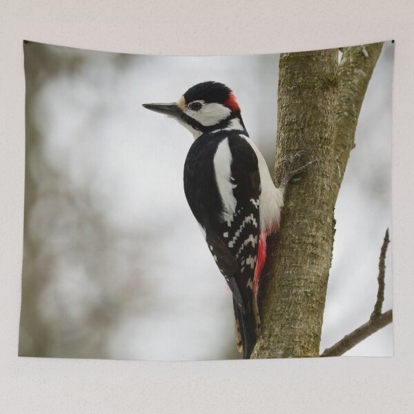 Item preview, Wish I were there.  Great spotted woodpecker designed and sold by Jouko Lehto Photography.