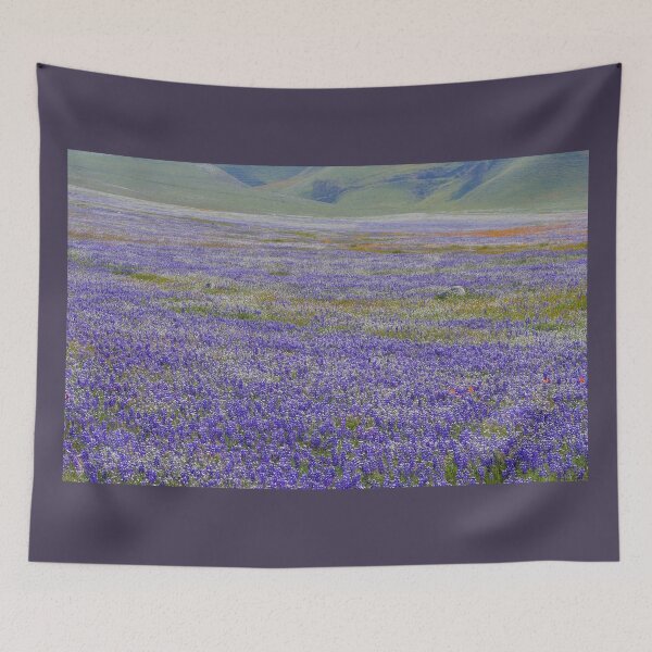 Item preview, Superbloom - Lupines/Bluebonnets near Arvin, California designed and sold by MH65Designs.