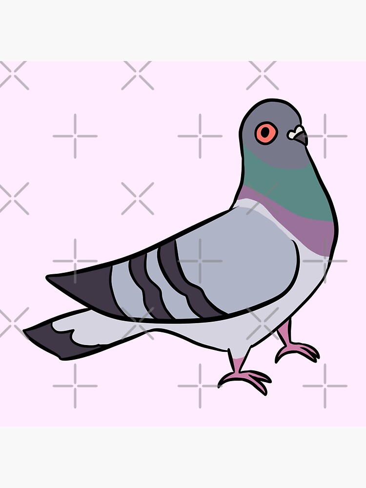 pigeon – Sunnyfae