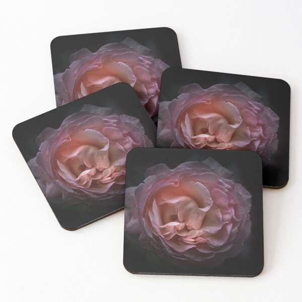 Item preview, Backyard Flowers No 105 Color Version designed and sold by The Learning Curve Photography.