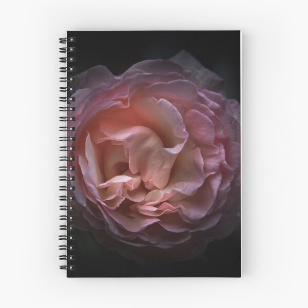Item preview, Backyard Flowers No 105 Color Version designed and sold by The Learning Curve Photography.