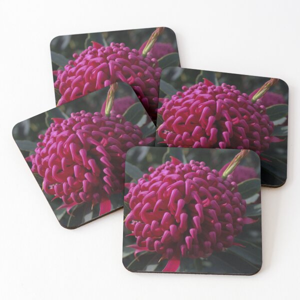 Item preview, Waratah Flower designed and sold by Linda Sijpkes.