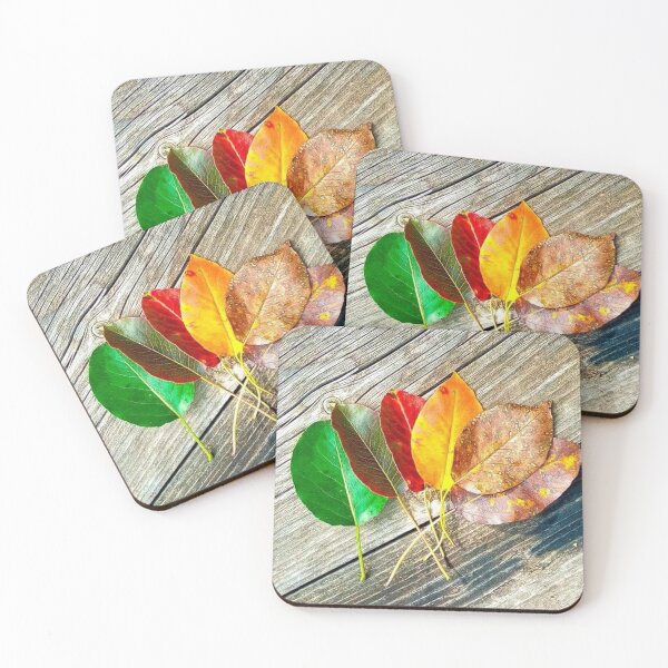 Item preview, seasons designed and sold by X-ecute.