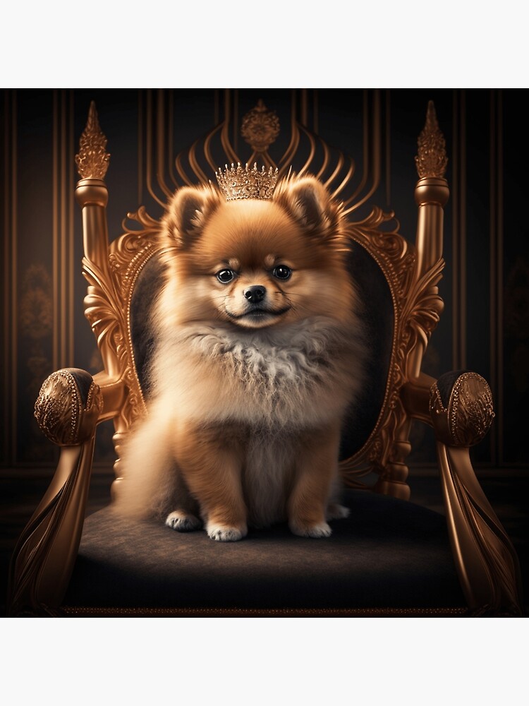 Pomeranian Dog cute King Poster for Sale by pavel84