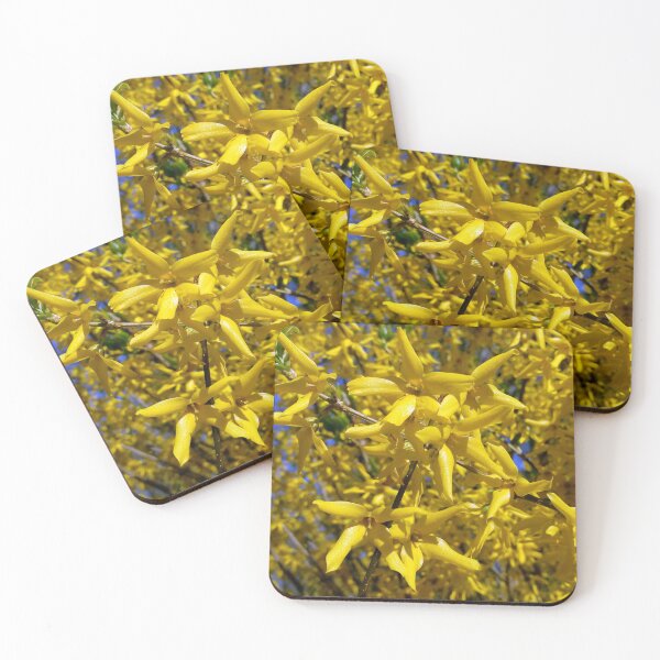 Item preview, Happy spring vibrant forsythias original artwork designed and sold by paragonDesign28.