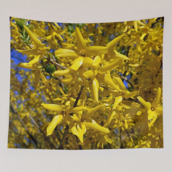 Item preview, Happy spring vibrant forsythias original artwork designed and sold by paragonDesign28.