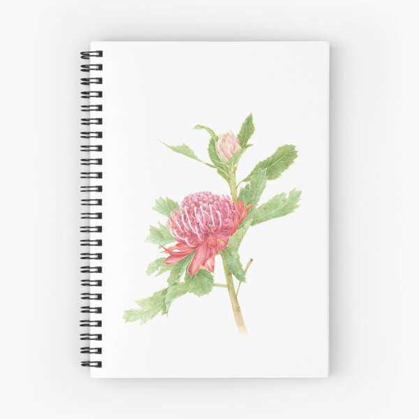 Item preview, Waratah designed and sold by Lilah Fossey.