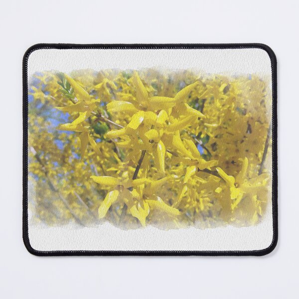 Item preview, Happy spring vibrant forsythias Digital Watercolor original artwork designed and sold by paragonDesign28.