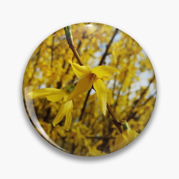 Item preview, Happy spring vibrant forsythias original artwork designed and sold by paragonDesign28.