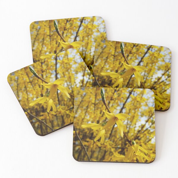 Item preview, Happy spring vibrant forsythias original artwork designed and sold by paragonDesign28.