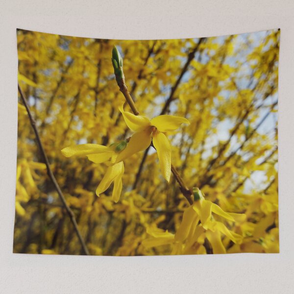Item preview, Happy spring vibrant forsythias original artwork designed and sold by paragonDesign28.