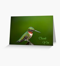 Perched Greeting Card