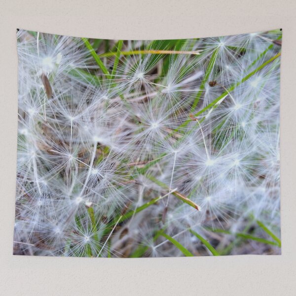 Item preview, Dandelion Fuzz designed and sold by bjtomiko.