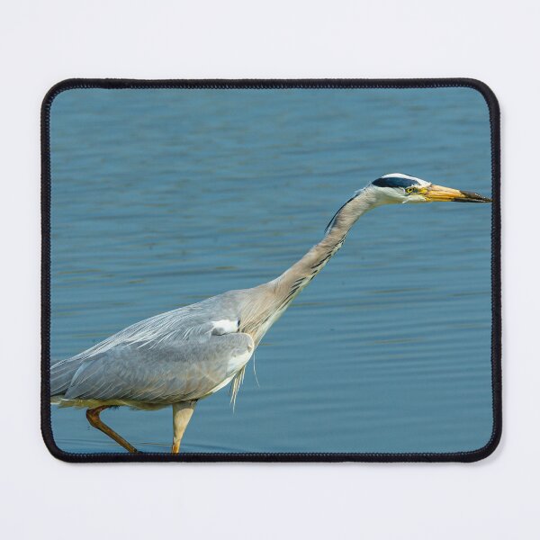 Item preview, Hunting Heron Reflected designed and sold by Dalyndigital Photography.