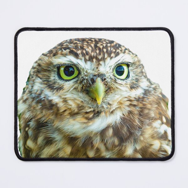 Item preview, Little Owl designed and sold by Dalyndigital Photography.