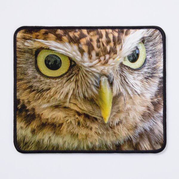 Item preview, Face of a Little owl designed and sold by Dalyndigital Photography.