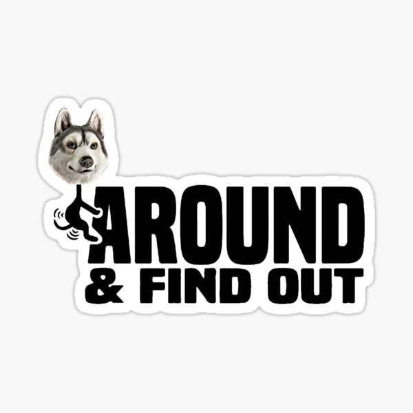 FAFO Security Warning Sign - Protected by Fuck Around and Find Out Sticker  - 4 x 4 - Funny Decal Sticker for Home/Door or Car Window 2-Pack