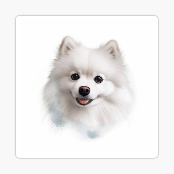 Item preview, White Pomeranian designed and sold by CiochuPL.
