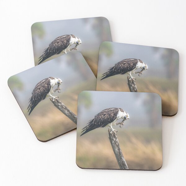 Item preview, Osprey Scratching the Itch designed and sold by Debra Martz.