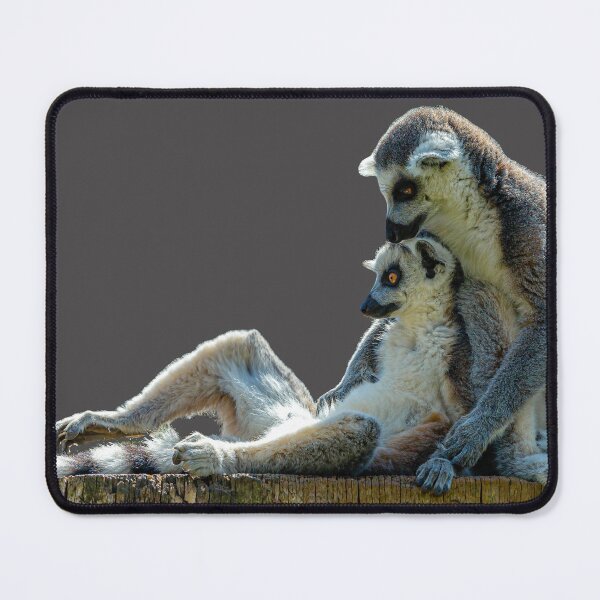 Item preview, Relaxing Ring-tailed Lemurs designed and sold by Dalyndigital Photography.