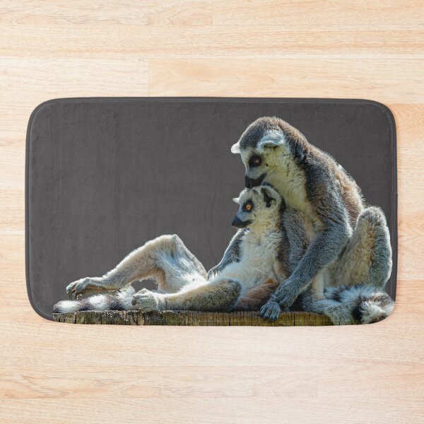 Item preview, Relaxing Ring-tailed Lemurs designed and sold by Dalyndigital Photography.