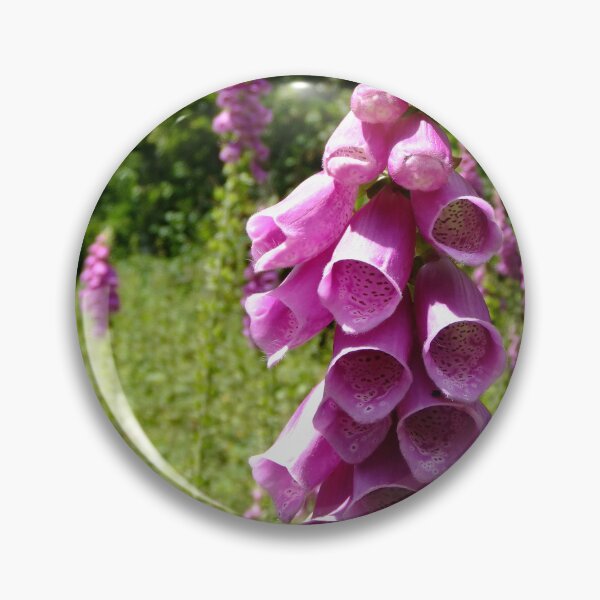 Item preview, Foxgloves designed and sold by pinkal.