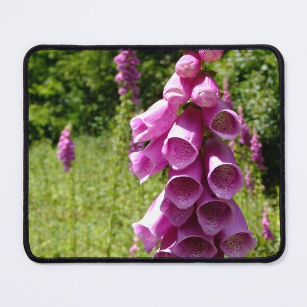 Item preview, Foxgloves designed and sold by pinkal.