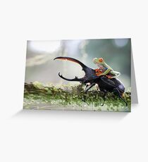 MACRO Greeting Card