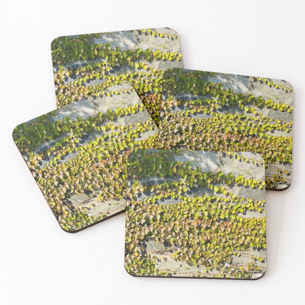 Item preview, Traveling Vine on a Wall designed and sold by Ruth Curtis.